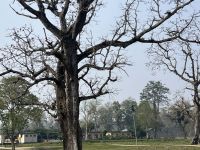 IMG_8849