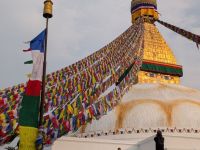 PXL_20260219_104646914.MP_