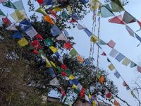 PXL_20260220_070103830.MP_