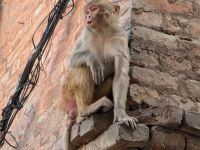 PXL_20260220_071016489