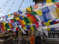 PXL_20260220_071419528.MP_