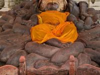 PXL_20260220_112613057