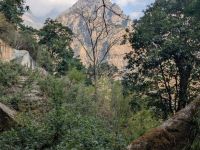 PXL_20260222_031231774