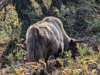 PXL_20260222_042125881