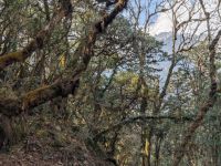 PXL_20260222_042441859