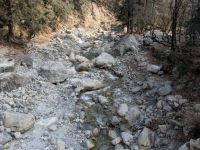 PXL_20260222_043619597.MP_