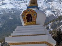 PXL_20260224_055235809