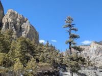 PXL_20260224_063545338