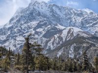 PXL_20260224_064557027