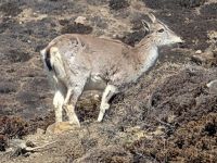 PXL_20260225_054235911