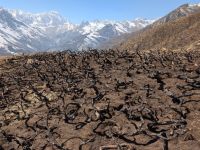 PXL_20260225_074210973