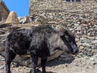 PXL_20260226_052031644