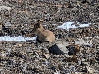 PXL_20260228_044530952