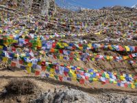 PXL_20260228_084038503.MP_