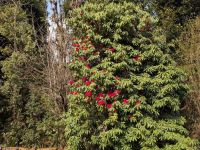 PXL_20260302_043937006