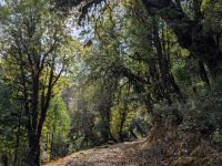 PXL_20260302_045312268