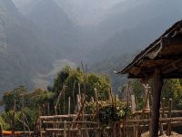 PXL_20260302_050226043