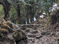 PXL_20260302_050724527