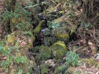 PXL_20260302_052137027