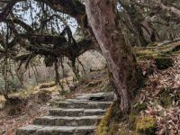 PXL_20260302_054111699.MP_