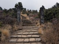 PXL_20260302_064824741.MP_