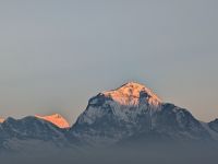 PXL_20260303_005025621.MP_