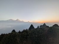 PXL_20260303_005311149.MP_