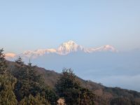 PXL_20260303_011116109.MP_