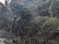 PXL_20260303_024849542.MP_