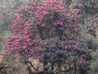 PXL_20260303_025200337.MP_