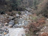 PXL_20260303_031140835.MP_