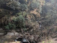 PXL_20260303_033535731.MP_