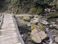 PXL_20260303_034555198.MP_