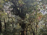 PXL_20260303_035435384.MP_