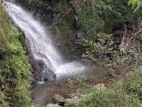 PXL_20260303_055737381.MP_