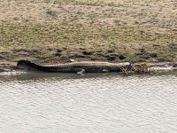 PXL_20260304_075417538.MP_