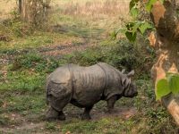 PXL_20260304_090154394