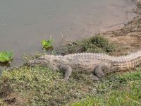 PXL_20260304_092457334.MP_