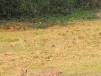 PXL_20260304_094148407_exported_767_1772617336725