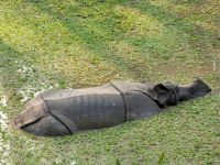 PXL_20260304_095029180.MP_