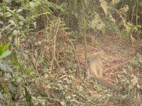 PXL_20260304_100757391.MP_