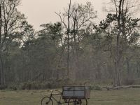 PXL_20260304_102852986.MP_