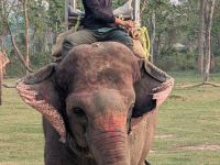 PXL_20260304_102931357