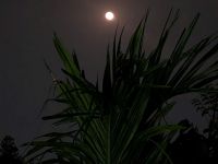 PXL_20260304_151604212.MP_