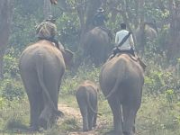 PXL_20260305_050717130.MP_