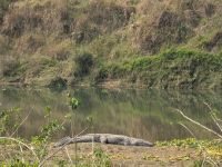 PXL_20260305_051953092.MP_