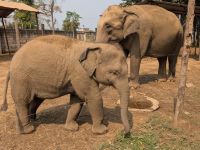 PXL_20260305_060456417.MP_