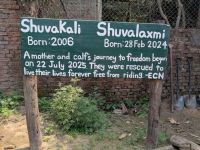 PXL_20260305_060501418.MP_