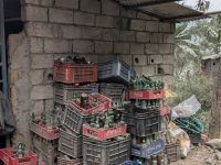 PXL_20260306_053638308.MP_