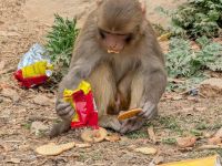 PXL_20260308_044200163.MP_